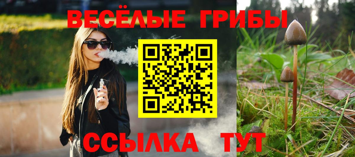 Псилоцибиновые грибы Cubensis Камышин